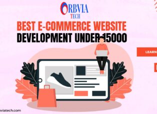 Best E-Commerce Website Development Under 15000